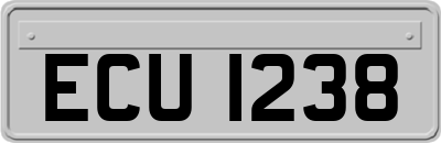 ECU1238