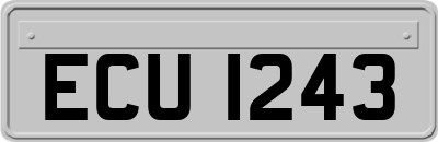 ECU1243