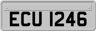 ECU1246