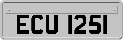 ECU1251