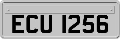 ECU1256