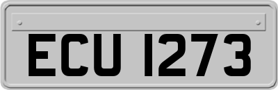 ECU1273