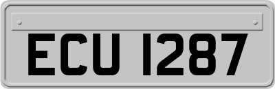 ECU1287