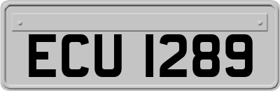 ECU1289