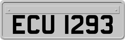 ECU1293