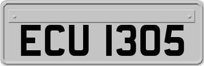 ECU1305