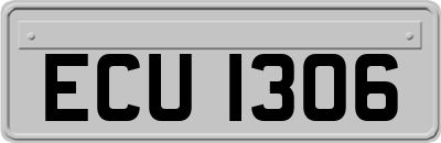 ECU1306