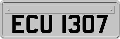 ECU1307