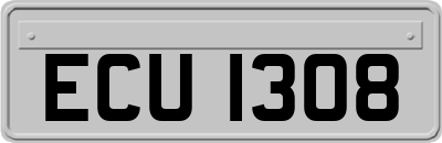 ECU1308