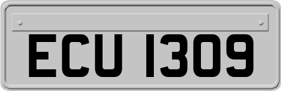 ECU1309
