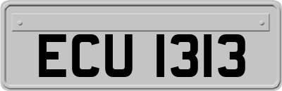 ECU1313