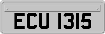 ECU1315