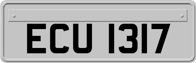 ECU1317