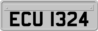 ECU1324
