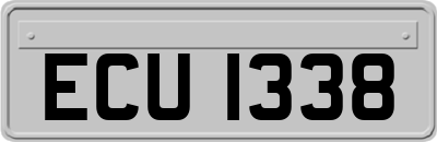 ECU1338