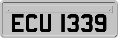 ECU1339