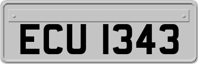 ECU1343