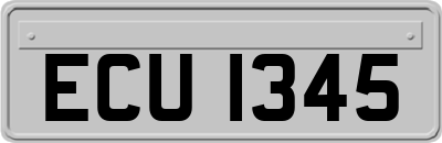 ECU1345