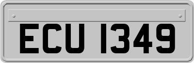 ECU1349