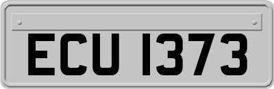 ECU1373