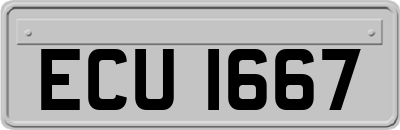 ECU1667