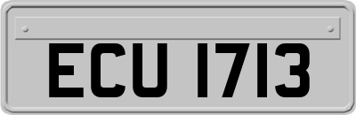 ECU1713
