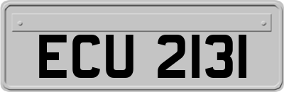 ECU2131