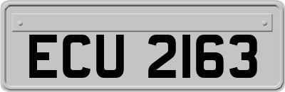 ECU2163