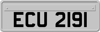 ECU2191