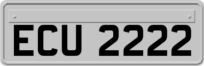 ECU2222