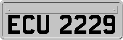 ECU2229