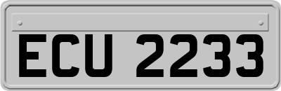 ECU2233