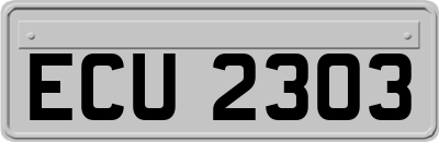 ECU2303