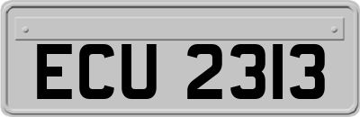 ECU2313