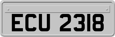 ECU2318