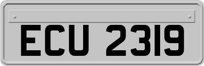 ECU2319