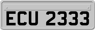 ECU2333