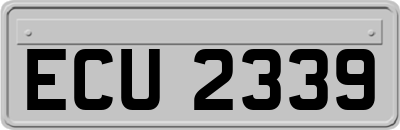 ECU2339