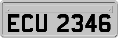 ECU2346