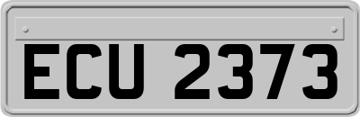 ECU2373
