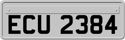 ECU2384