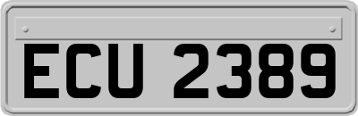 ECU2389