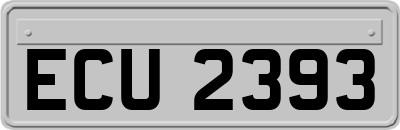 ECU2393