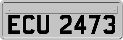 ECU2473