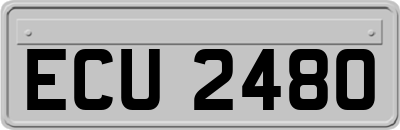 ECU2480