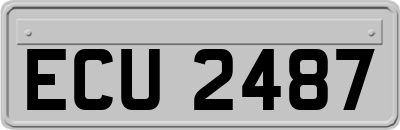 ECU2487
