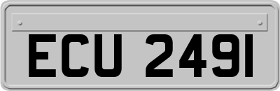 ECU2491