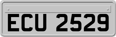 ECU2529