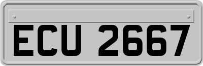 ECU2667