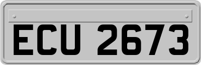 ECU2673